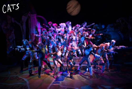 2024世界经典原版音乐剧《猫》西安站时间票价一览（附购票入口）